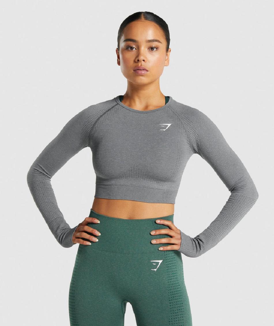 Przycięte Topy Damskie Gymshark Vital Seamless 2.0 Long Sleeve Szare | PL 2674KOR